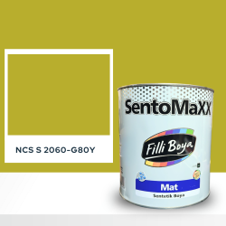 Filli Boya Sentomaxx Boya NCS S 2060-G80Y