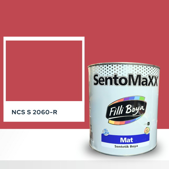 Filli Boya Sentomaxx Boya NCS S 2060-R