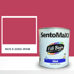 Filli Boya Sentomaxx Boya NCS S 2060-R10B