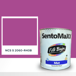 Filli Boya Sentomaxx Boya NCS S 2060-R40B