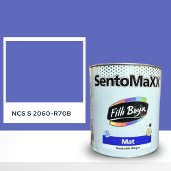 Filli Boya Sentomaxx Boya NCS S 2060-R70B