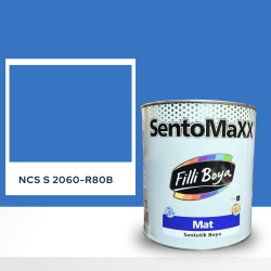 Filli Boya Sentomaxx Boya NCS S 2060-R80B