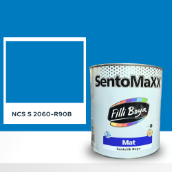 Filli Boya Sentomaxx Boya NCS S 2060-R90B