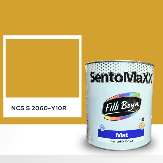 Filli Boya Sentomaxx Boya NCS S 2060-Y10R