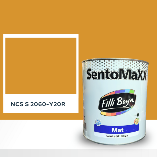 Filli Boya Sentomaxx Boya NCS S 2060-Y20R