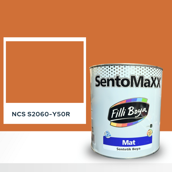 Filli Boya Sentomaxx Boya NCS S 2060-Y50R
