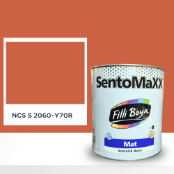 Filli Boya Sentomaxx Boya NCS S 2060-Y70R