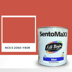 Filli Boya Sentomaxx Boya NCS S 2060-Y80R