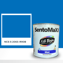 Filli Boya Sentomaxx Boya NCS S 2065-R90B