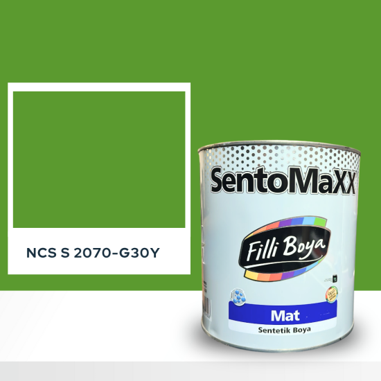 Filli Boya Sentomaxx Boya NCS S 2070-G30Y