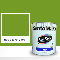 Filli Boya Sentomaxx Boya NCS S 2070-G40Y