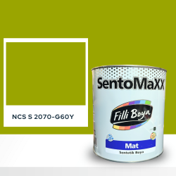 Filli Boya Sentomaxx Boya NCS S 2070-G60Y