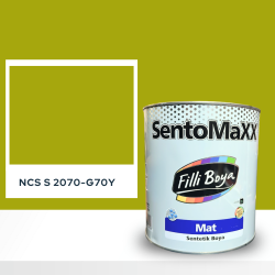 Filli Boya Sentomaxx Boya NCS S 2070-G70Y