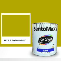 Filli Boya Sentomaxx Boya NCS S 2070-G80Y