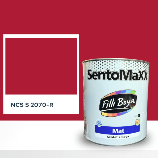 Filli Boya Sentomaxx Boya NCS S 2070-R