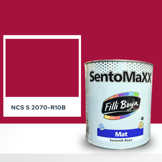 Filli Boya Sentomaxx Boya NCS S 2070-R10B