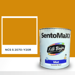 Filli Boya Sentomaxx Boya NCS S 2070-Y20R