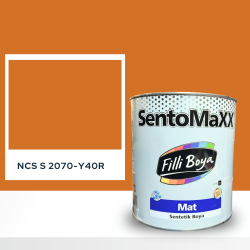 Filli Boya Sentomaxx Boya NCS S 2070-Y40R