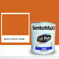 Filli Boya Sentomaxx Boya NCS S 2070-Y50R