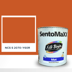 Filli Boya Sentomaxx Boya NCS S 2070-Y60R