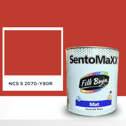 Filli Boya Sentomaxx Boya NCS S 2070-Y80R