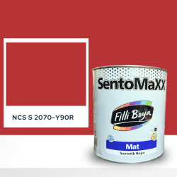 Filli Boya Sentomaxx Boya NCS S 2070-Y90R
