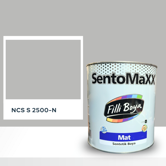 Filli Boya Sentomaxx Boya NCS S 2500-N