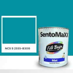 Filli Boya Sentomaxx Boya NCS S 2555-B30G