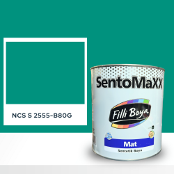 Filli Boya Sentomaxx Boya NCS S 2555-B80G