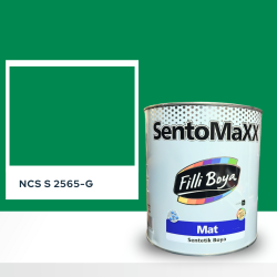 Filli Boya Sentomaxx Boya NCS S 2565-G