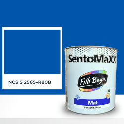 Filli Boya Sentomaxx Boya NCS S 2565-R80B