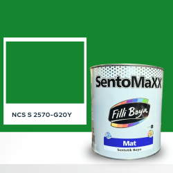 Filli Boya Sentomaxx Boya NCS S 2570-G20Y