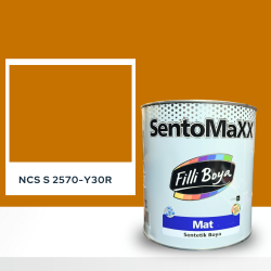 Filli Boya Sentomaxx Boya NCS S 2570-Y30R