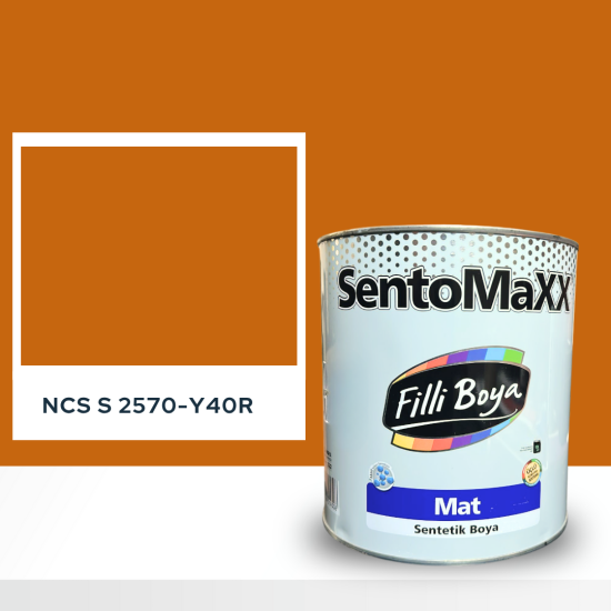 Filli Boya Sentomaxx Boya NCS S 2570-Y40R