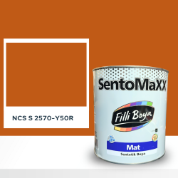 Filli Boya Sentomaxx Boya NCS S 2570-Y50R