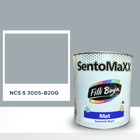 Filli Boya Sentomaxx Boya NCS S 3005-B20G