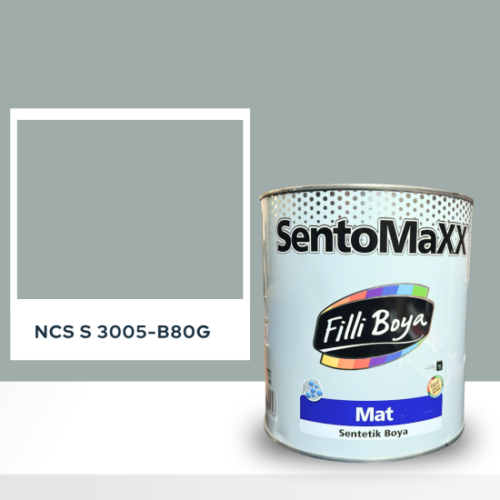 Filli Boya Sentomaxx Boya NCS S 3005-B80G