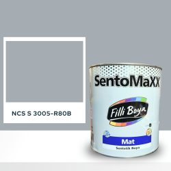 Filli Boya Sentomaxx Boya NCS S 3005-R80B