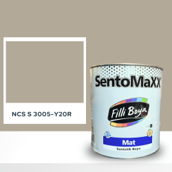 Filli Boya Sentomaxx Boya NCS S 3005-Y20R