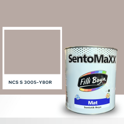 Filli Boya Sentomaxx Boya NCS S 3005-Y80R