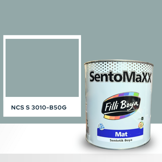 Filli Boya Sentomaxx Boya NCS S 3010-B50G