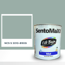 Filli Boya Sentomaxx Boya NCS S 3010-B90G