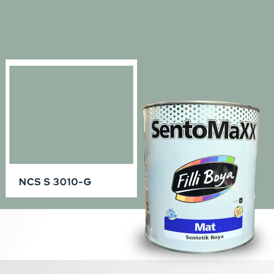Filli Boya Sentomaxx Boya NCS S 3010-G