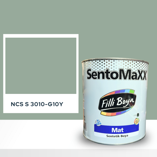 Filli Boya Sentomaxx Boya NCS S 3010-G10Y