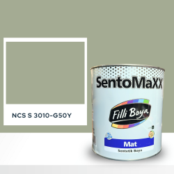 Filli Boya Sentomaxx Boya NCS S 3010-G20Y