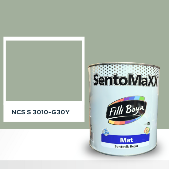 Filli Boya Sentomaxx Boya NCS S 3010-G30Y