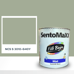 Filli Boya Sentomaxx Boya NCS S 3010-G40Y