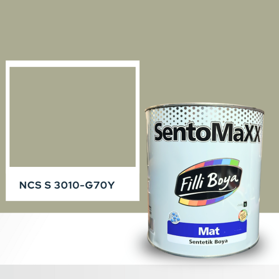 Filli Boya Sentomaxx Boya NCS S 3010-G70Y Filli Boya Sentomaxx Boya NCS S 3010-G70Y
