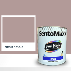 Filli Boya Sentomaxx Boya NCS S 3010-R