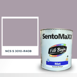 Filli Boya Sentomaxx Boya NCS S 3010-R40B